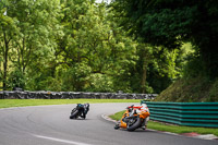 cadwell-no-limits-trackday;cadwell-park;cadwell-park-photographs;cadwell-trackday-photographs;enduro-digital-images;event-digital-images;eventdigitalimages;no-limits-trackdays;peter-wileman-photography;racing-digital-images;trackday-digital-images;trackday-photos